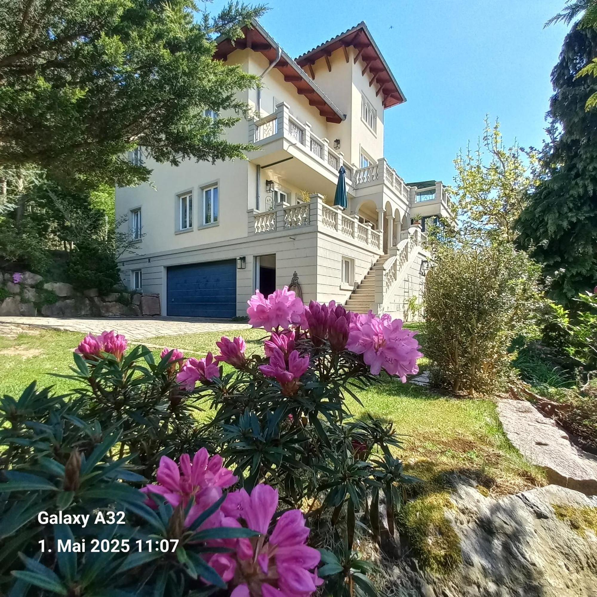 Ferienwohnung Dennstedt Wilkau-Hasslau Buitenkant foto